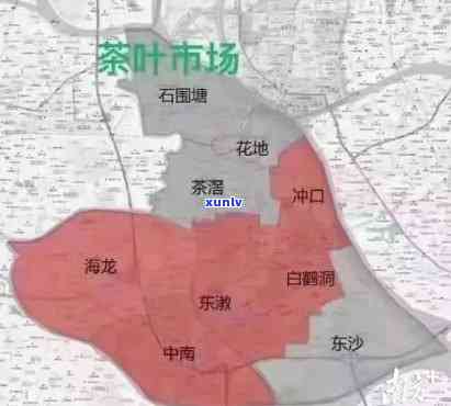 广州茶叶场地址，广州茶叶场：详细地址与交通指南