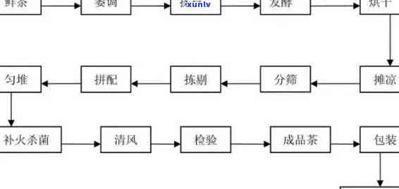 茶叶采摘后加工流程图详解：从采摘到制成成品全过程