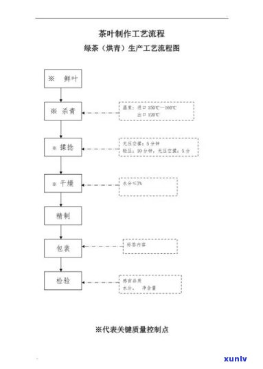 茶叶采摘后加工流程图详解：从采摘到制成成品全过程