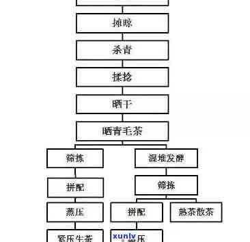 茶叶采摘后加工流程图详解：从采摘到制成成品全过程