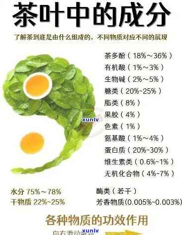 一杯茶水茶叶含量与蛋白质分析及适宜饮用量