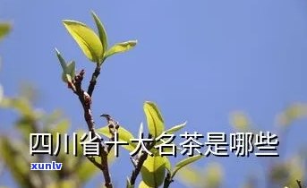 四川比较出名的茶叶排行榜