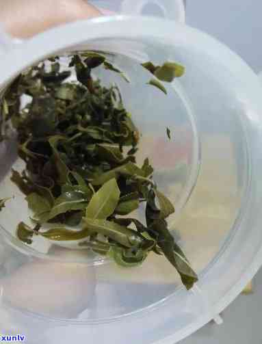 像柳树叶一样的茶叶是什么茶名，探寻神秘的茶叶：像柳树叶般的茶叶究竟是什么？