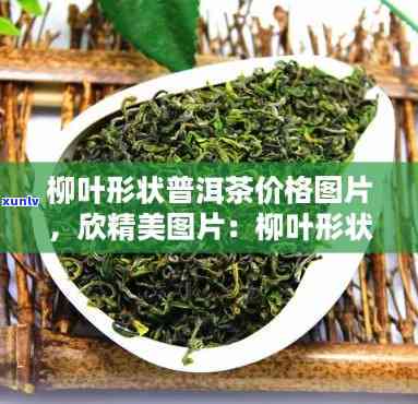 普洱茶一颗一颗的那种叫什么：普洱茶散茶