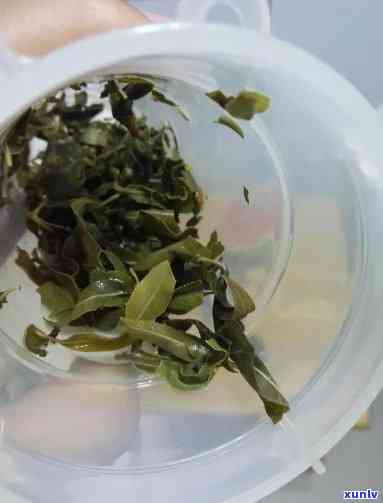 像柳树叶一样的茶叶-像柳树叶一样的茶叶是什么茶