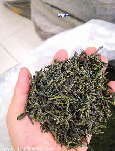 湖南怀化有名的茶叶-湖南怀化有名的茶叶有哪些