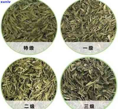 二级茶叶和三级茶叶哪个好，二级茶叶和三级茶，你更喜欢哪一个？