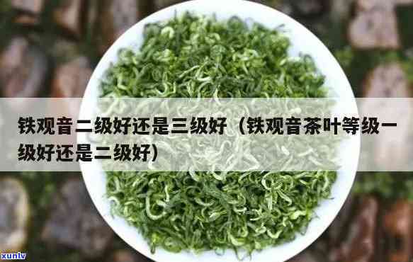 二级茶叶和三级茶叶哪个好，二级茶叶和三级茶，你更喜欢哪一个？