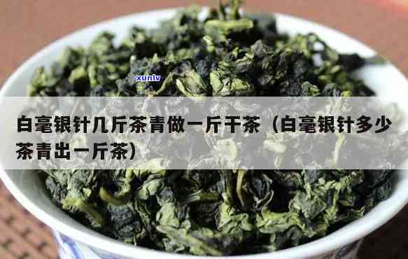 多少茶青做成一斤：白毫银针、茶叶、茶、茶饼的比例与换算