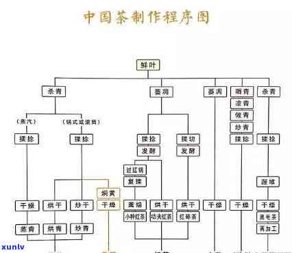 茶叶精制厂生产流程图，深入了解茶叶精制厂的生产流程：一张详尽的流程图解析