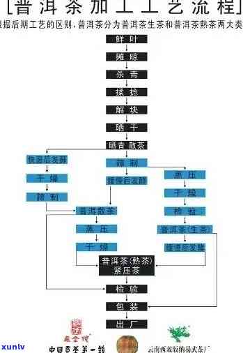 茶叶精制厂生产流程图片，揭秘茶叶精制厂生产过程：详细图解！