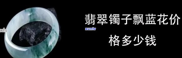 飘蓝花翡翠怎么样，「飘蓝花翡翠」：神秘而优雅的宝石