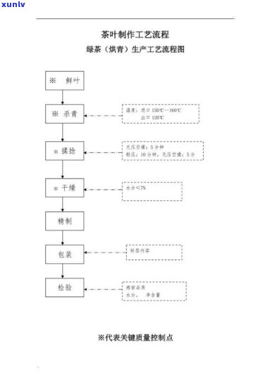 现代化茶叶生产线：设计图、设备厂家与先进生产工艺全面解析