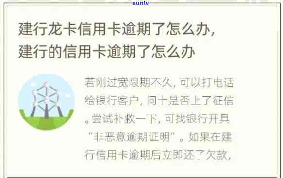 建设银行信誉卡逾期会怎么样，逾期还款会作用建设银行信誉卡吗？结果详解