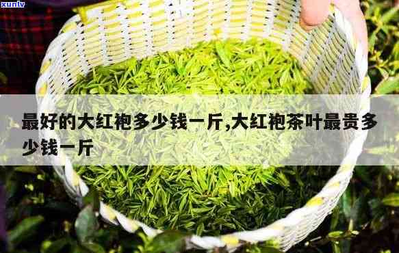 8000一斤的茶叶贵吗？价格、品质解析