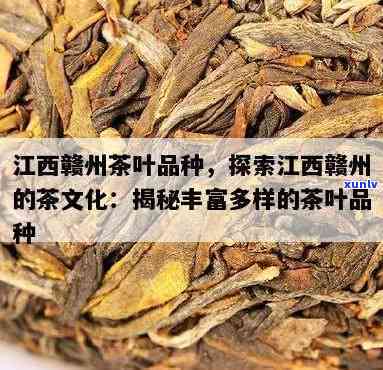 赣州有什么特色茶叶品种？揭晓本地特产茶叶名称与类型