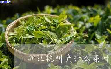 浙江州产的茶叶-浙江州产的茶叶是