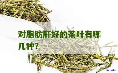 脂肪肝能喝茶叶水吗？全面解析茶叶对脂肪肝的影响