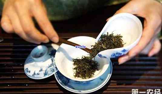 泡一次茶放多少茶叶-泡一次茶放多少茶叶合适