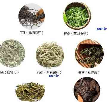 有降血脂的茶叶吗？了解其功效及推荐品种