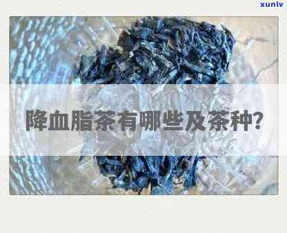 有降血脂的茶叶吗？了解其功效及推荐品种