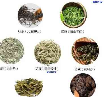 能够降血脂的茶叶种类及效果全解析