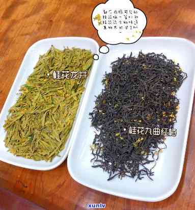 江南茶区有哪些茶叶？探索知名茶叶及店铺