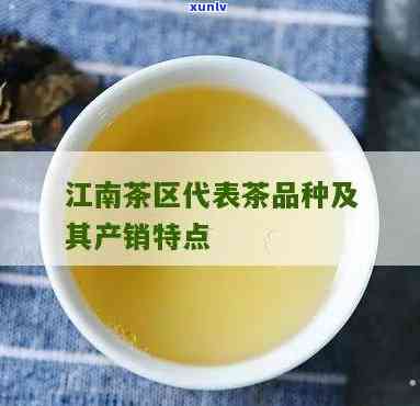 江南茶区有哪些茶叶-江南茶区有哪些茶叶店