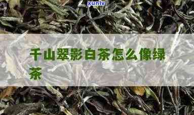 千山翠影珍稀白茶价格，「千山翠影」珍稀白茶的价格是多少？