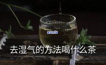 去除体内湿气的茶叶叫什么？揭秘祛湿茶饮！