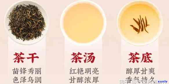 龙王府红茶价格，探秘龙王府红茶：价格解析与品鉴指南