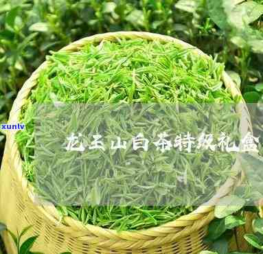 135克龙王山茶叶-龙王山茶叶价格