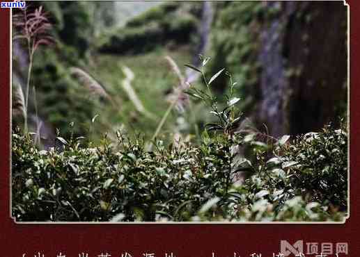 翡翠手镯和银手镯可以一起戴吗：女生同时佩戴翡翠和银手镯是否合适？