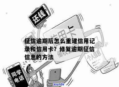 建行逾期了怎样恢复？详细步骤及留意事