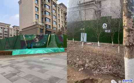 土地逾期未建设后果-土地逾期未建设后果是什么