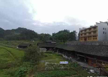 武夷山显山露水茶叶-武夷山显山露水茶叶