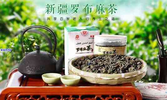 新疆的罗布麻茶，新疆罗布麻茶：健与美味并存的独特饮品