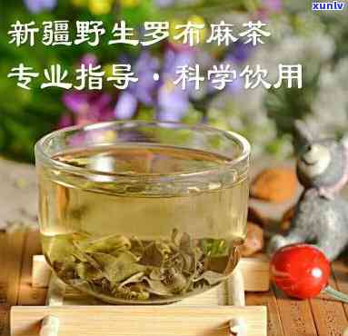 新疆的罗布麻茶，新疆罗布麻茶：健与美味并存的独特饮品