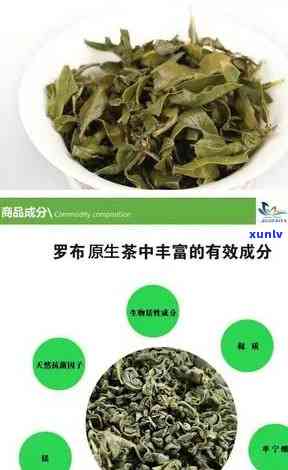 新疆特产罗布麻茶叶-新疆特产罗布麻茶叶图片