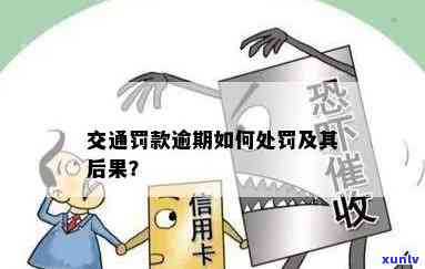 交通罚款逾期一个月的结果，一个月未缴纳交通罚款，你将面临哪些严重结果？