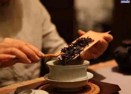 泡茶一次泡多少茶叶好，泡茶技巧：如何确定一次泡多少茶叶？