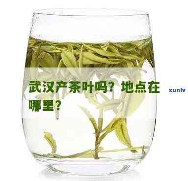 大益茶正品小金沱：醇厚口感，保障，茶叶批发价格实