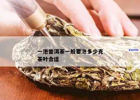 一杯茶用多少克茶叶-一杯茶用多少克茶叶合适