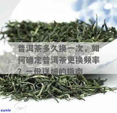 一般一天换几次茶叶比较好，茶叶更换频率：一般每天应该换几次？