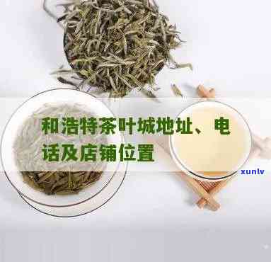 和浩特哪里卖茶叶的多，探寻和浩特茶叶市场：哪里卖茶叶的地方最多？