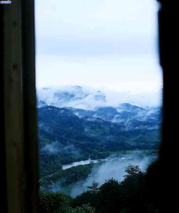 武夷山草木堂茶厂：地址、 *** 与简介全介绍