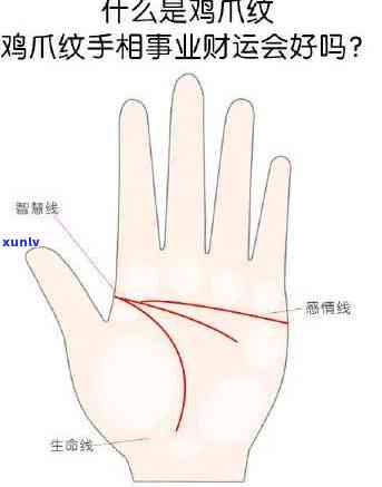 鸡爪纹怎么形成的，揭秘鸡爪纹的形成原因与解决 *** 