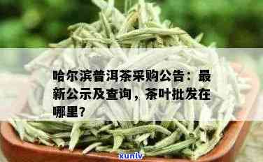 哈尔滨批发茶叶的地方在哪里，寻找优质茶叶？哈尔滨哪里有批发茶叶的好去处？