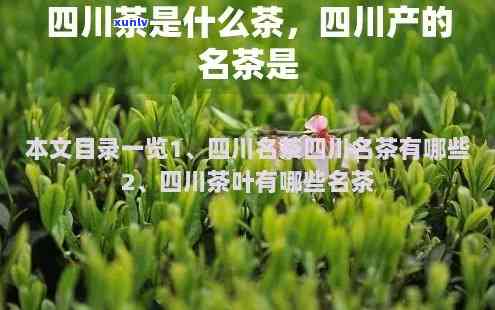 四川有什么特产茶叶？推荐几种知名茶叶及排行榜