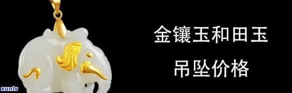 金至尊玉吊坠价格，探寻金至尊玉吊坠的价格：一份详尽的市场分析报告